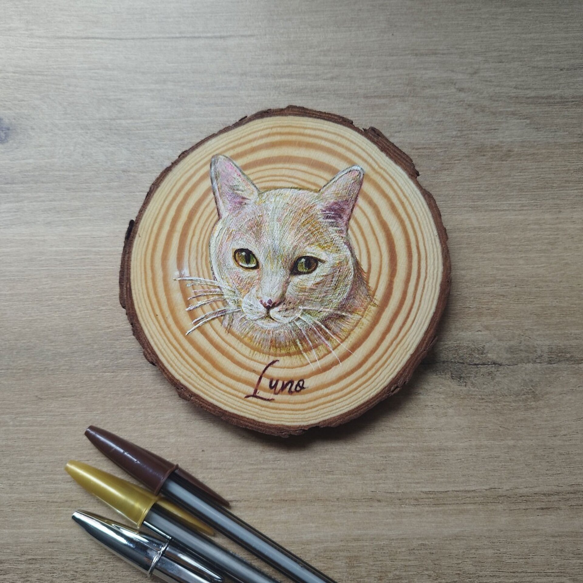 Retrato a BOLI BIC de mascotas - 7