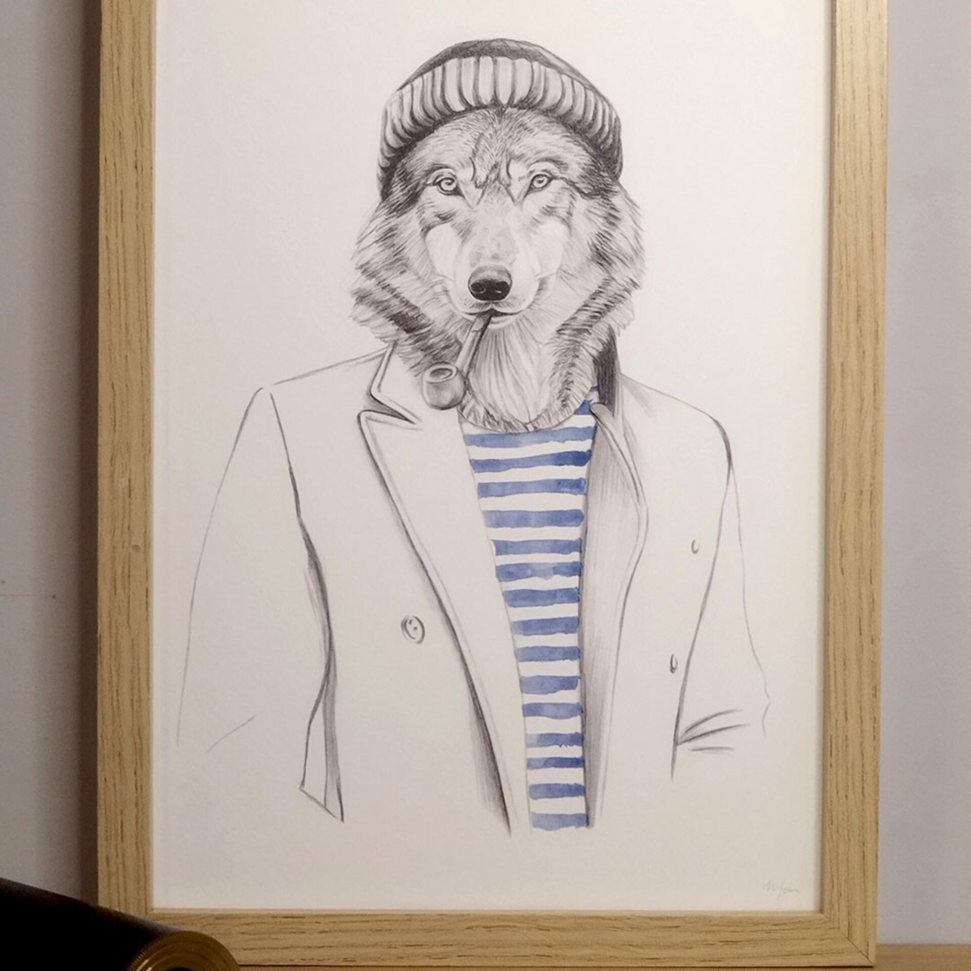 Lámina Lobo de mar - 3