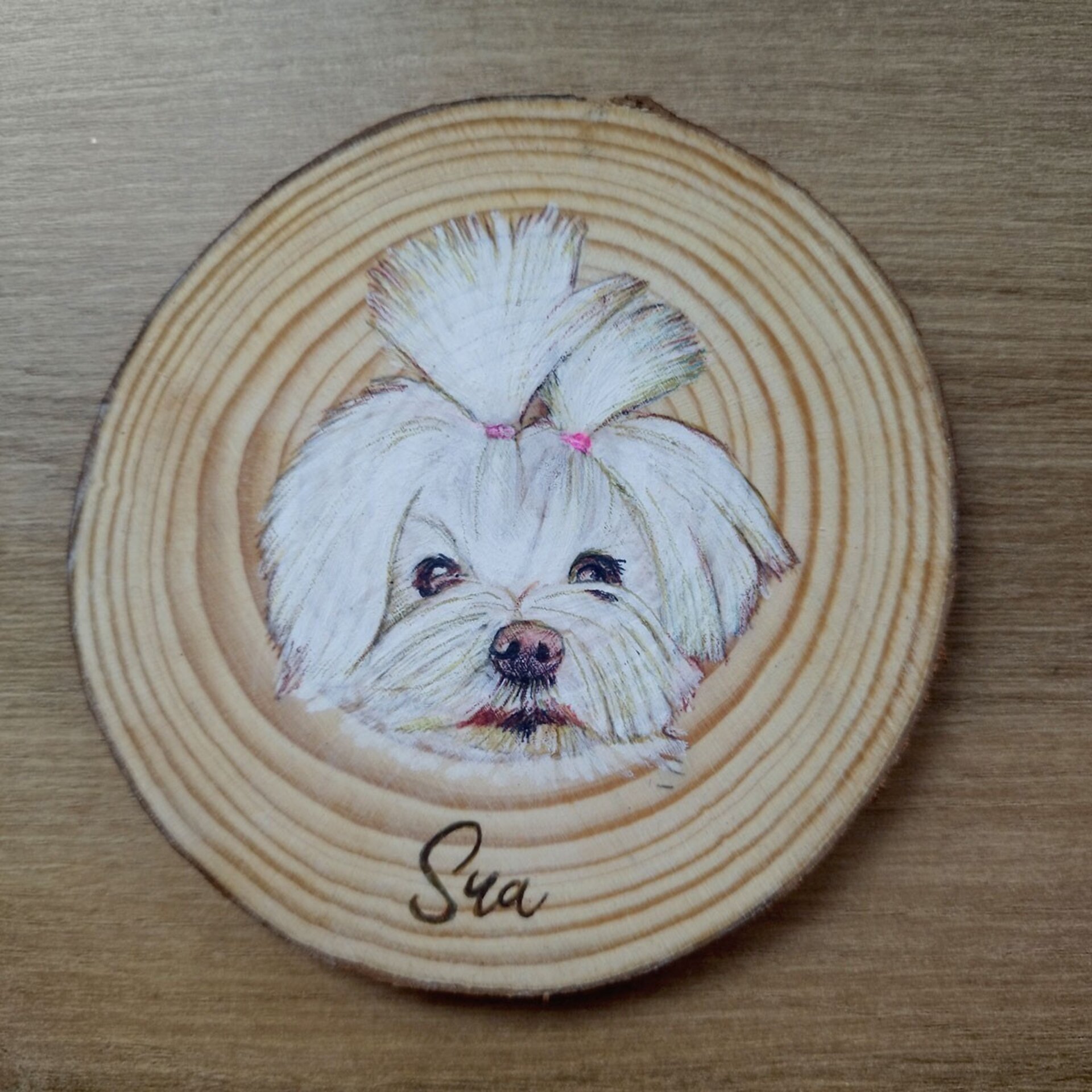 Retrato a BOLI BIC de mascotas - 2