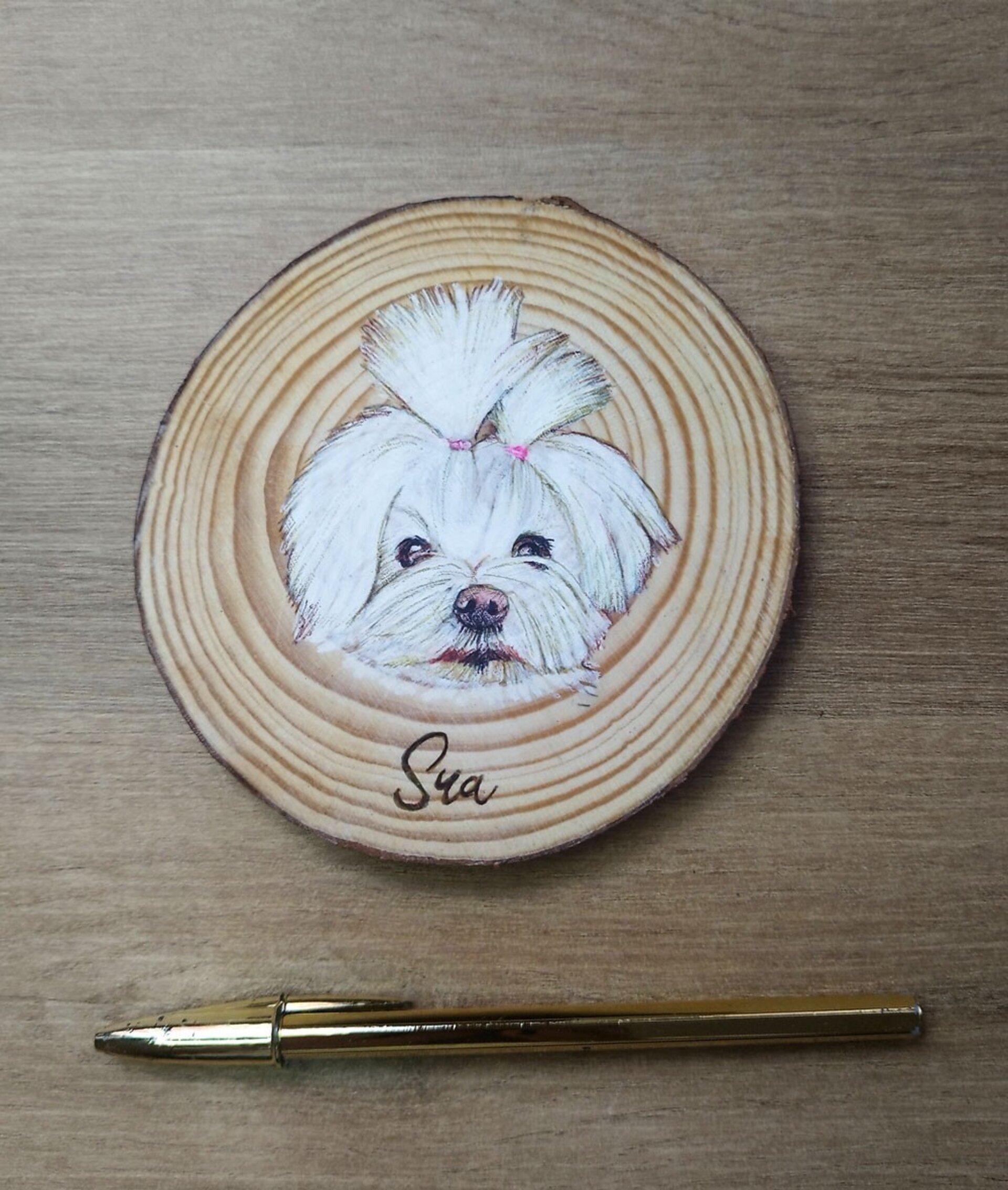 Retrato a BOLI BIC de mascotas - 1