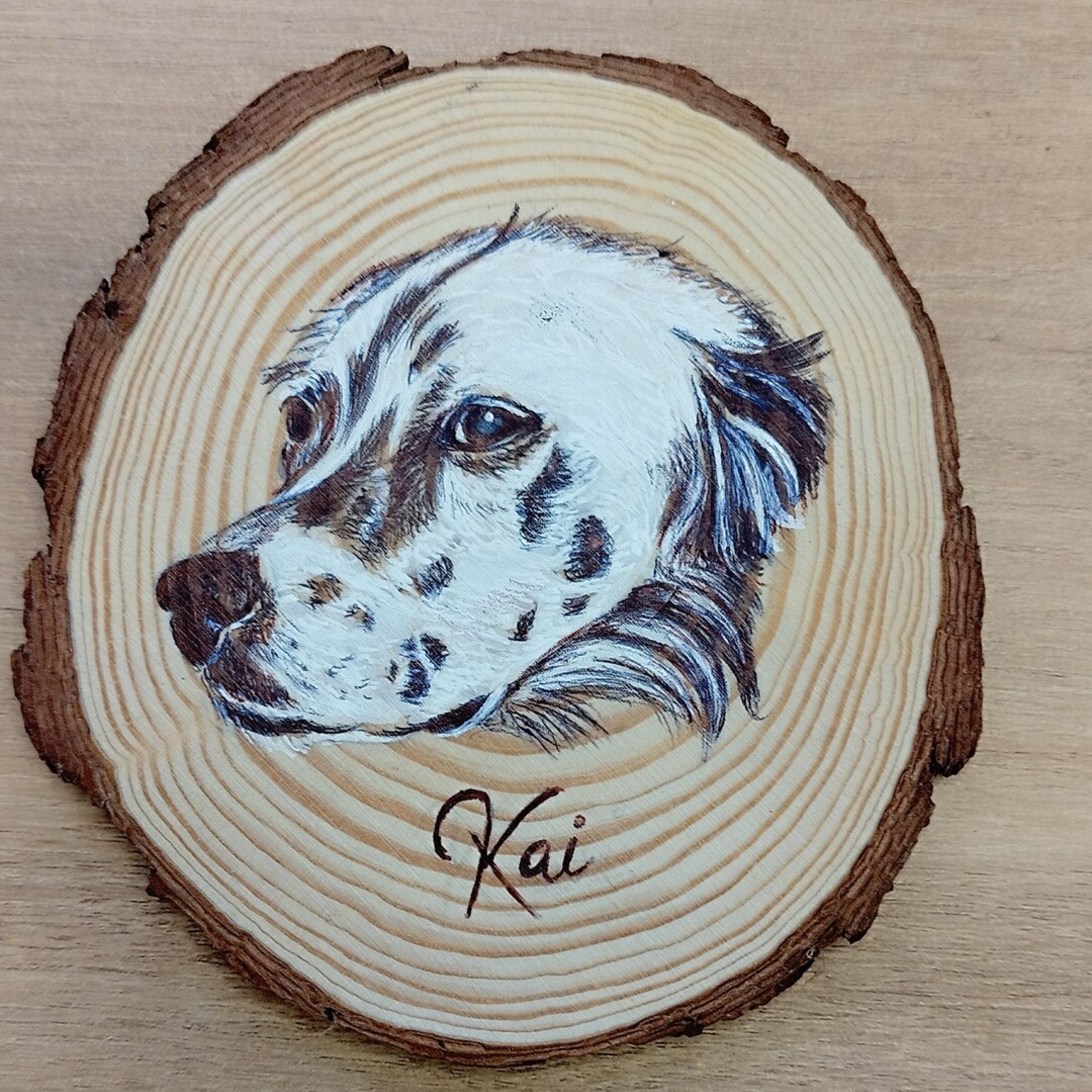 Retrato a BOLI BIC de mascotas