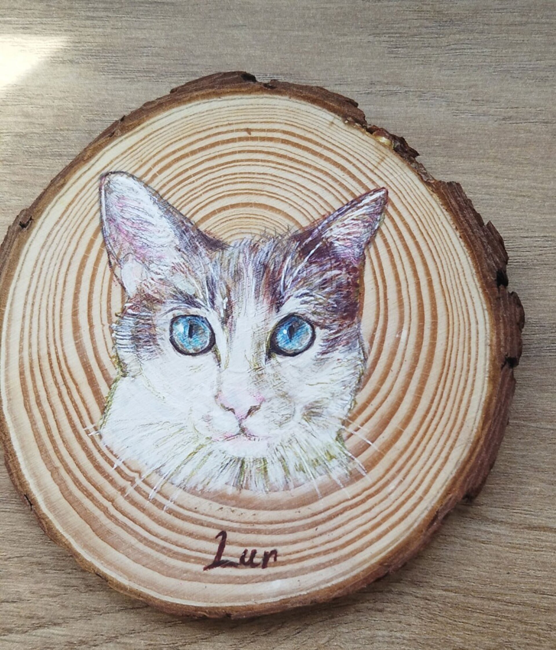 Retrato a BOLI BIC de mascotas - 5