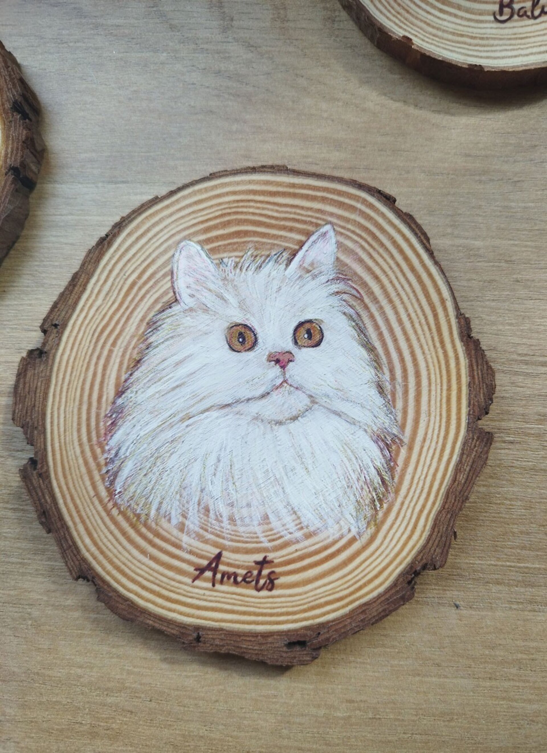 Retrato a BOLI BIC de mascotas - 6