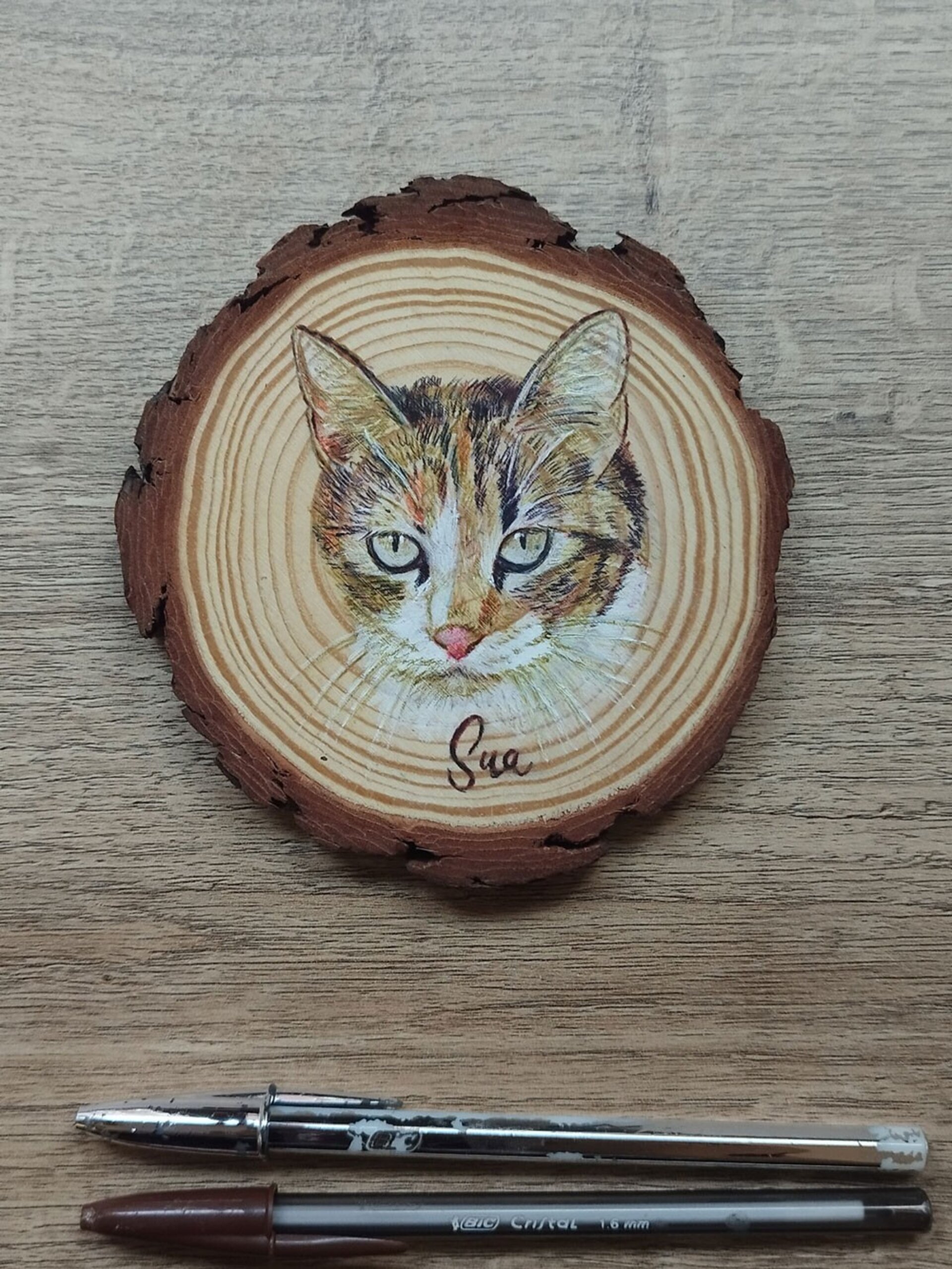 Retrato a BOLI BIC de mascotas - 3