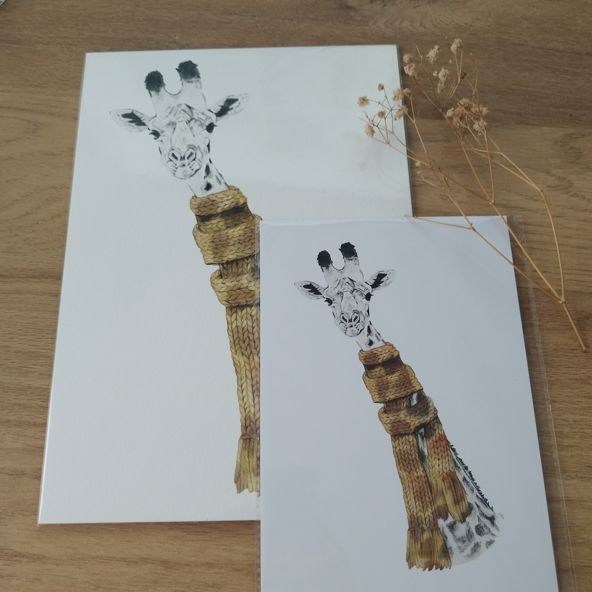 Lámina Hábitat - 3