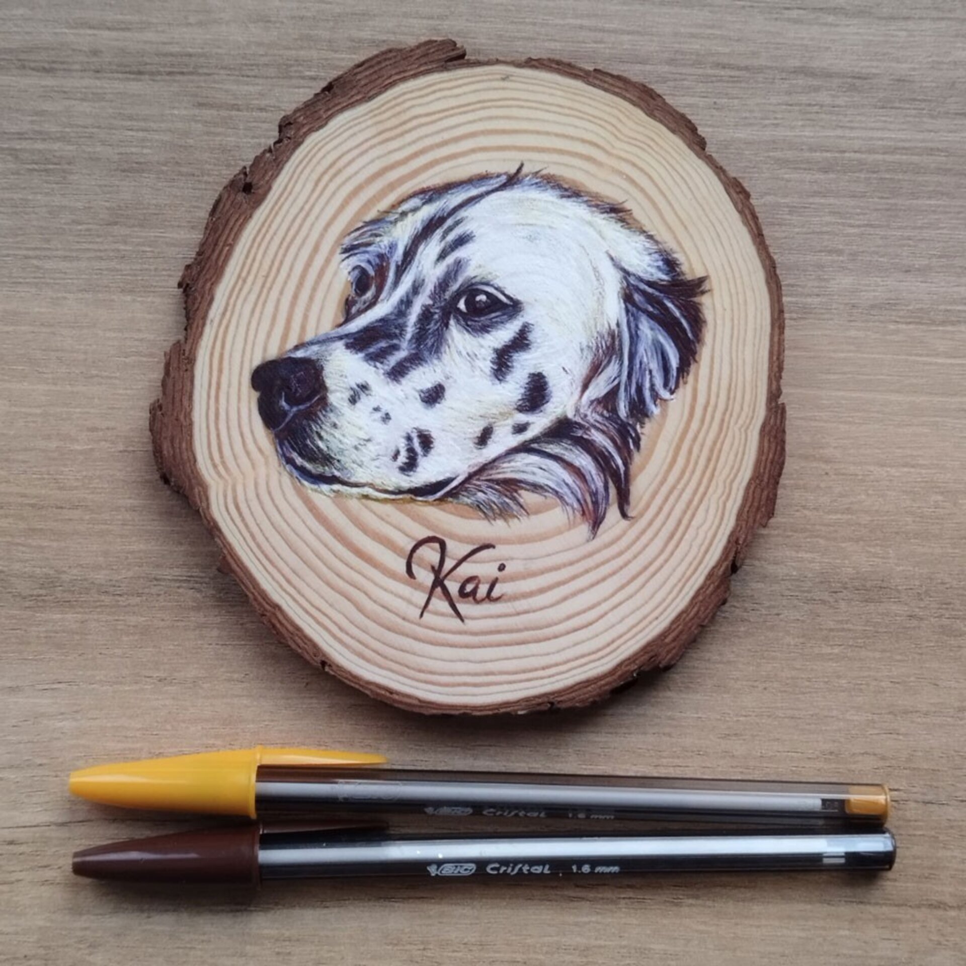 Retrato a BOLI BIC de mascotas - 4