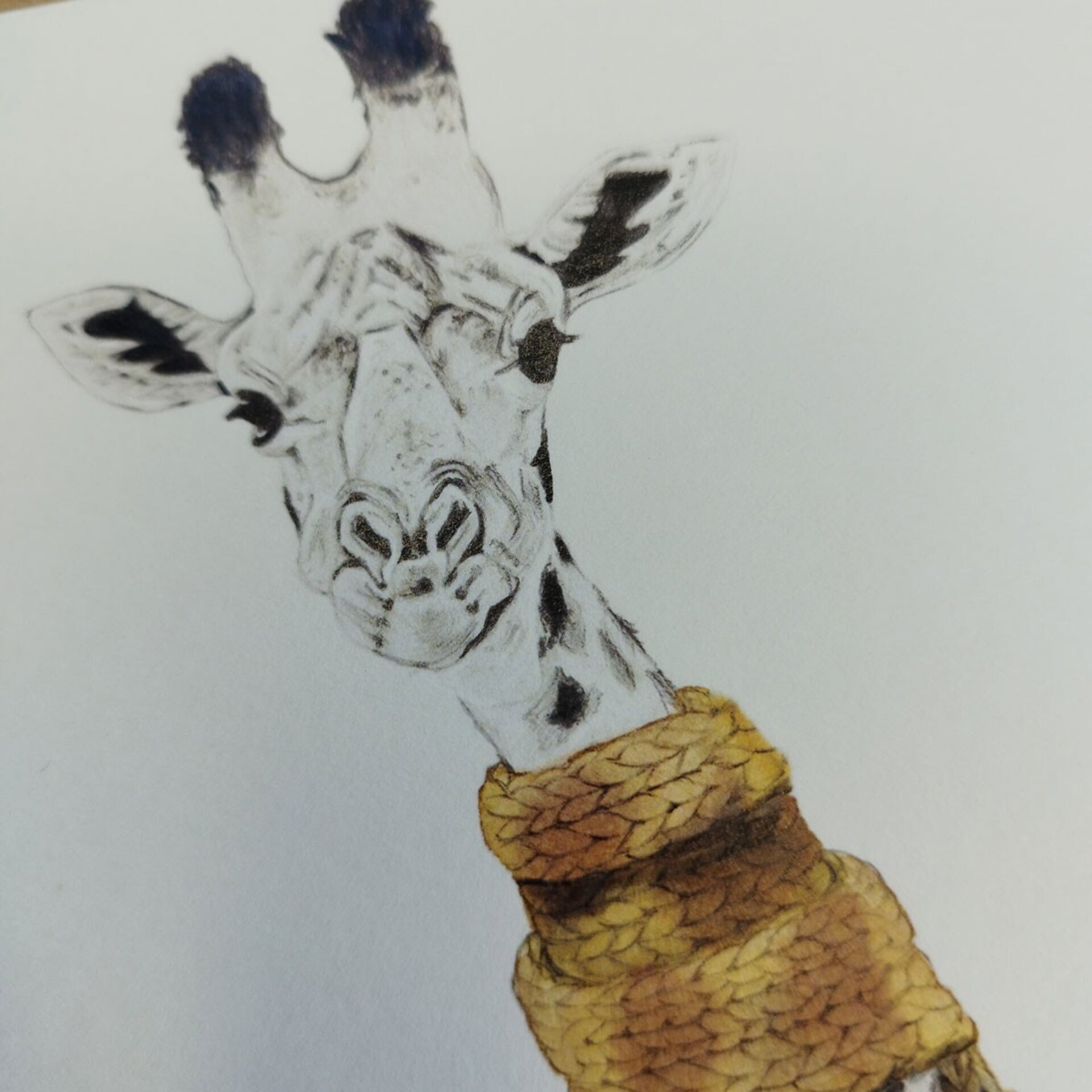 Libreta Hábitat - 3