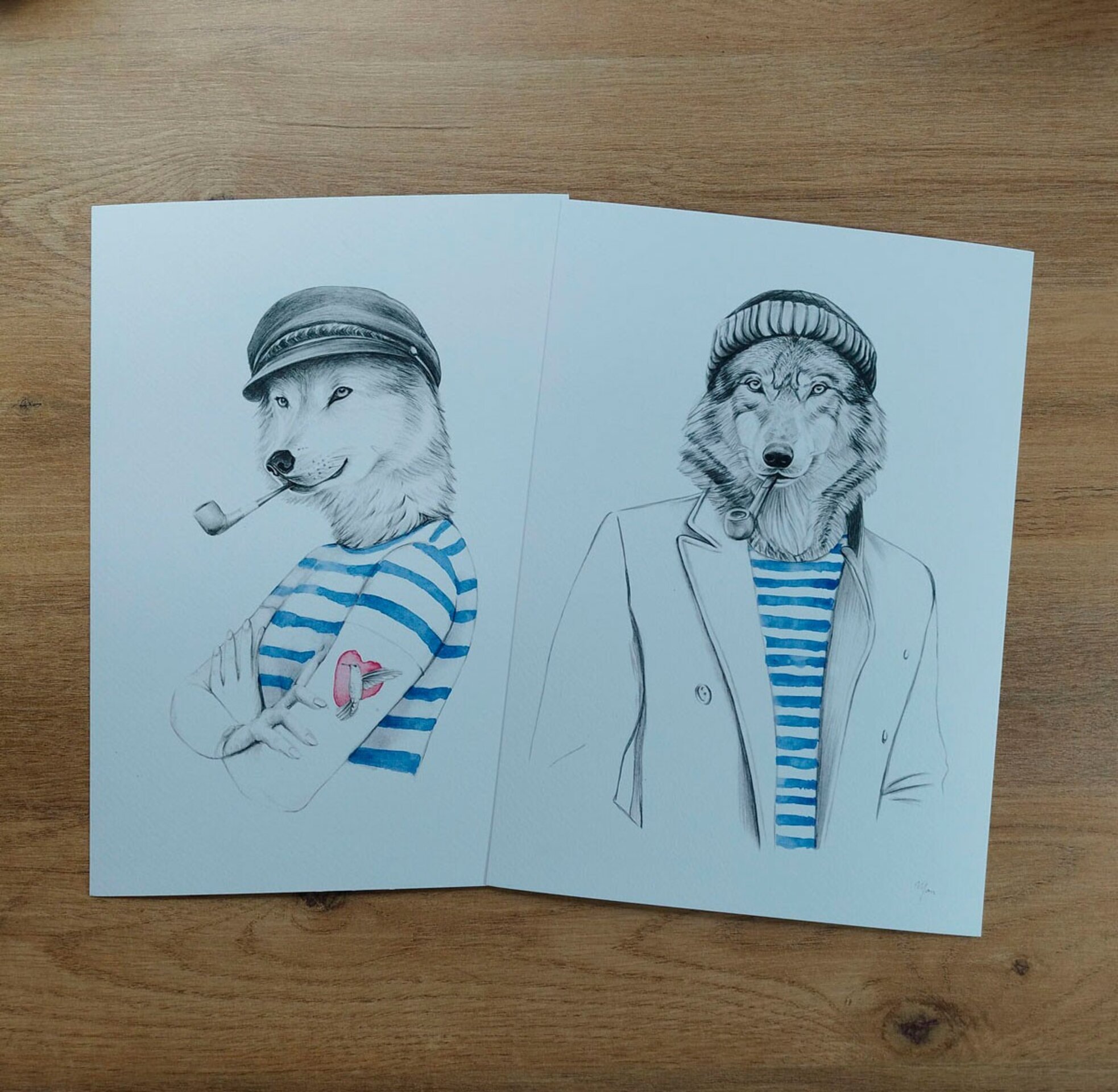 Lámina Lobo de mar - 4