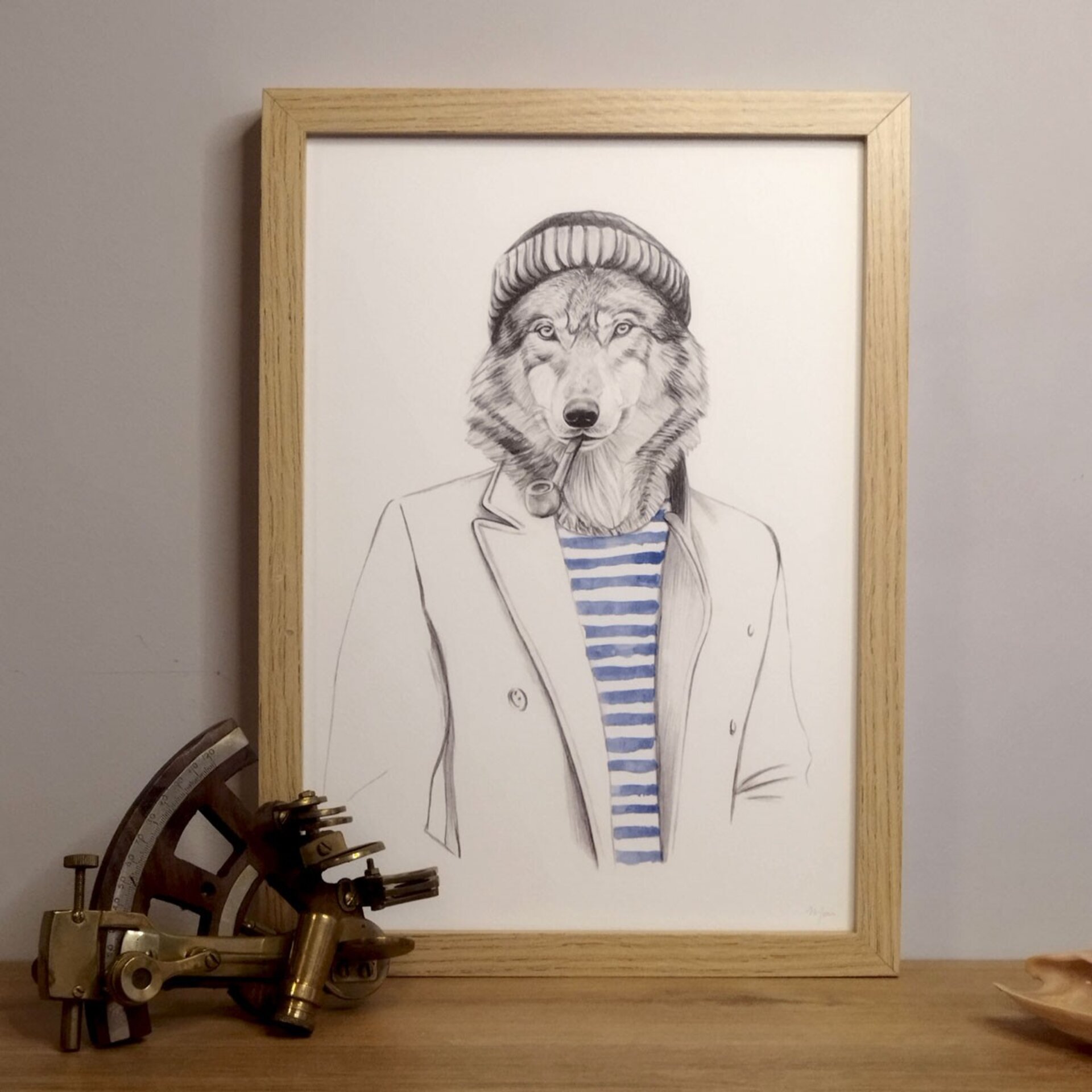 Lámina Lobo de mar - 2